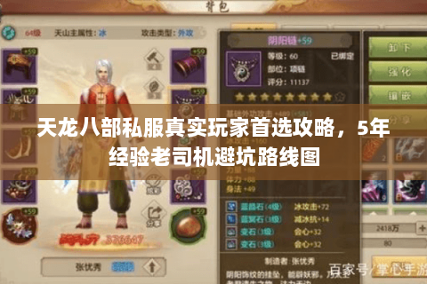 天龙八部私服真实玩家首选攻略,5年经验老司机避坑路线图 天龙八部私服真实玩家首选攻略,5年经验老司机避坑路线图