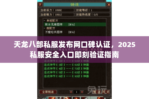 天龙八部私服发布网口碑认证,2025私服安全入口即刻验证指南 天龙八部私服发布网口碑认证,2025私服安全入口即刻验证指南