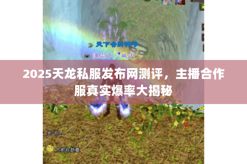 2025天龙私服发布网测评,主播合作服真实爆率大揭秘 2025天龙私服发布网测评,主播合作服真实爆率大揭秘