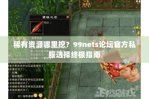 稀有资源哪里挖?99nets论坛官方私服选择终极指南 稀有资源哪里挖?99nets论坛官方私服选择终极指南