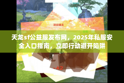 天龙sf公益服发布网，2025年私服安全入口指南，立即行动避开陷阱
