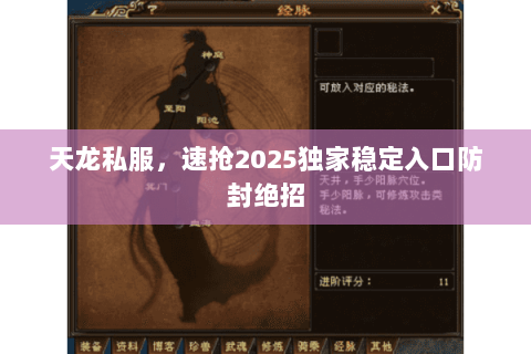 天龙私服，速抢2025独家稳定入口防封绝招