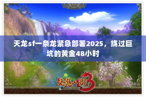 天龙sf一条龙紧急部署2025，绕过巨坑的黄金48小时