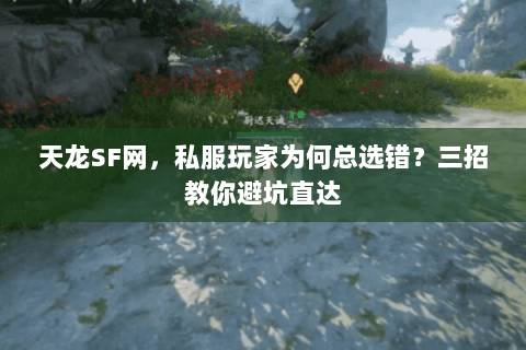 天龙SF网,私服玩家为何总选错?三招教你避坑直达 天龙SF网,私服玩家为何总选错?三招教你避坑直达