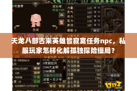 天龙八部古来英雄皆寂寞任务npc，私服玩家怎样化解孤独探险僵局？