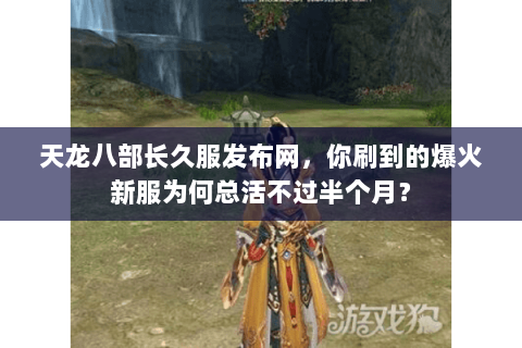 天龙八部长久服发布网，你刷到的爆火新服为何总活不过半个月？
