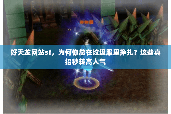 好天龙网站sf，为何你总在垃圾服里挣扎？这些真招秒转高人气