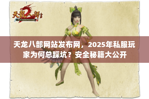 天龙八部网站发布网，2025年私服玩家为何总踩坑？安全秘籍大公开