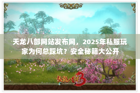 天龙八部网站发布网，2025年私服玩家为何总踩坑？安全秘籍大公开