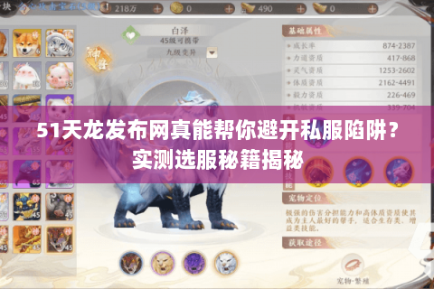 51天龙发布网真能帮你避开私服陷阱?实测选服秘籍揭秘 51天龙发布网真能帮你避开私服陷阱?实测选服秘籍揭秘