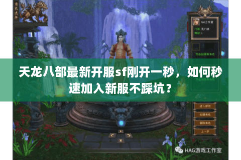 天龙八部最新开服sf刚开一秒,如何秒速加入新服不踩坑? 天龙八部最新开服sf刚开一秒,如何秒速加入新服不踩坑?