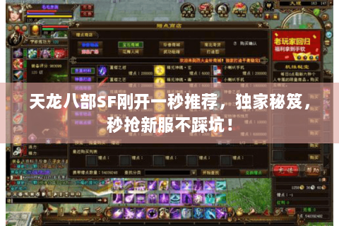 天龙八部SF刚开一秒推荐，独家秘笈，秒抢新服不踩坑！