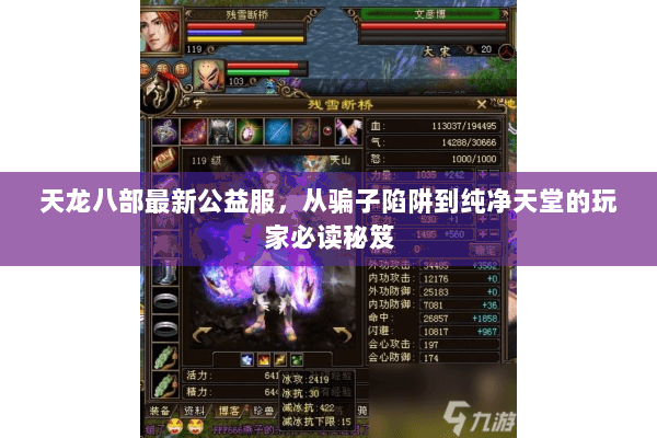 天龙八部最新公益服,从骗子陷阱到纯净天堂的玩家必读秘笈 天龙八部最新公益服,从骗子陷阱到纯净天堂的玩家必读秘笈