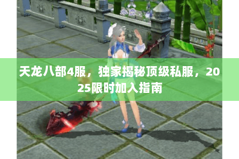 天龙八部4服,独家揭秘顶级私服,2025限时加入指南 天龙八部4服,独家揭秘顶级私服,2025限时加入指南