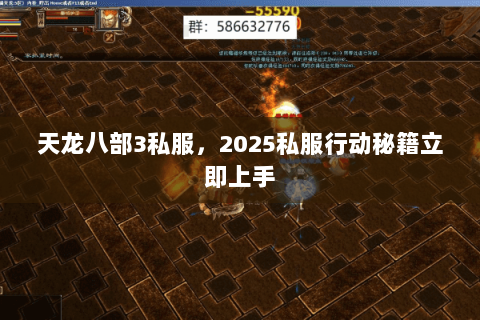 天龙八部3私服，2025私服行动秘籍立即上手