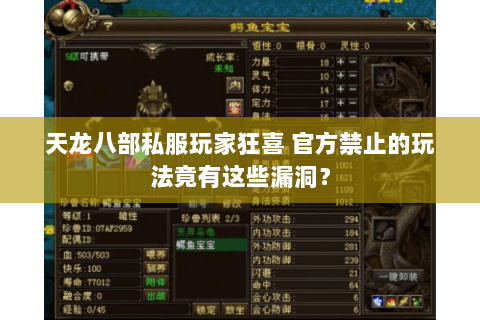 天龙八部私服玩家狂喜 官方禁止的玩法竟有这些漏洞? 天龙八部私服玩家狂喜 官方禁止的玩法竟有这些漏洞?
