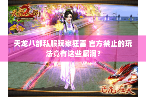 天龙八部私服玩家狂喜 官方禁止的玩法竟有这些漏洞? 天龙八部私服玩家狂喜 官方禁止的玩法竟有这些漏洞?