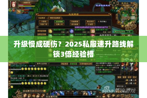 升级慢成硬伤？2025私服速升路线解锁3倍经验槽