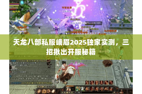 天龙八部私服峨眉2025独家实测，三招揪出开服秘籍