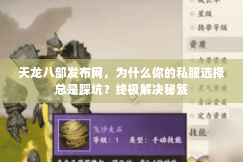 天龙八部发布网，为什么你的私服选择总是踩坑？终极解决秘笈