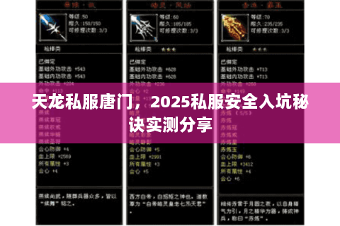 天龙私服唐门，2025私服安全入坑秘诀实测分享