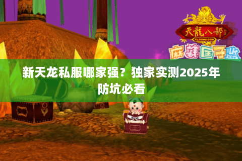 新天龙私服哪家强？独家实测2025年防坑必看