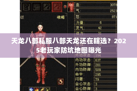 天龙八部私服八部天龙还在瞎选？2025老玩家防坑地图曝光