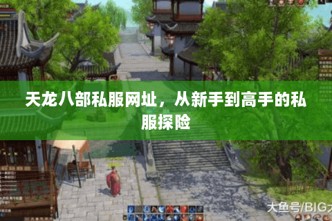 天龙八部私服网址，从新手到高手的私服探险