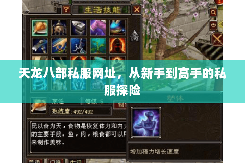 天龙八部私服网址，从新手到高手的私服探险