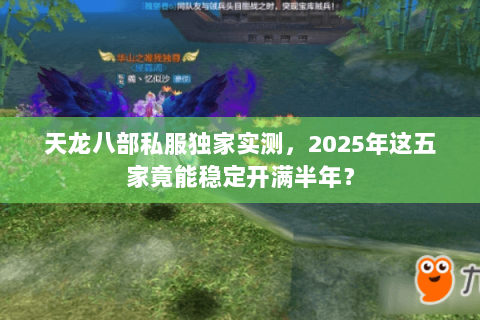 天龙八部私服独家实测,2025年这五家竟能稳定开满半年? 天龙八部私服独家实测,2025年这五家竟能稳定开满半年?