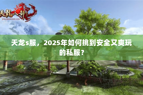 天龙s服,2025年如何挑到安全又爽玩的私服? 天龙s服,2025年如何挑到安全又爽玩的私服?
