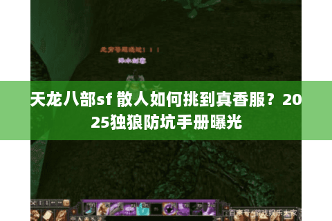 天龙八部sf 散人如何挑到真香服?2025独狼防坑手册曝光 天龙八部sf 散人如何挑到真香服?2025独狼防坑手册曝光