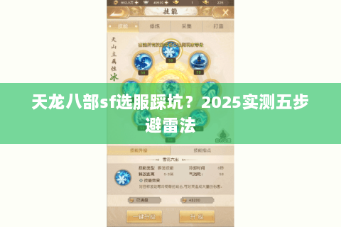天龙八部sf选服踩坑？2025实测五步避雷法