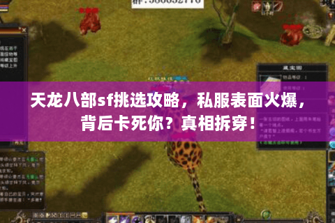 天龙八部sf挑选攻略,私服表面火爆,背后卡死你?真相拆穿! 天龙八部sf挑选攻略,私服表面火爆,背后卡死你?真相拆穿!