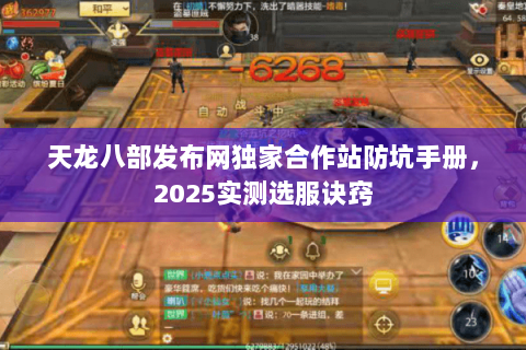 天龙八部发布网独家合作站防坑手册,2025实测选服诀窍 天龙八部发布网独家合作站防坑手册,2025实测选服诀窍