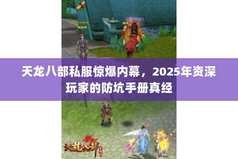 天龙八部私服惊爆内幕，2025年资深玩家的防坑手册真经