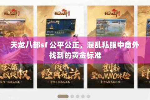 天龙八部sf 公平公正，混乱私服中意外找到的黄金标准