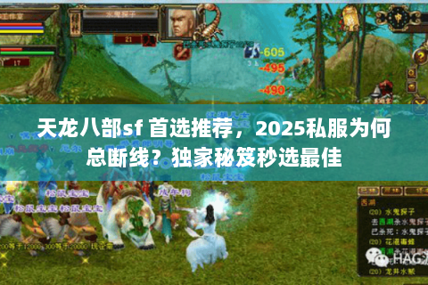 天龙八部sf 首选推荐，2025私服为何总断线？独家秘笈秒选最佳