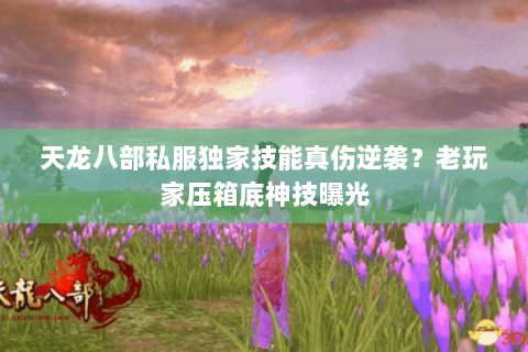 天龙八部私服独家技能真伤逆袭？老玩家压箱底神技曝光