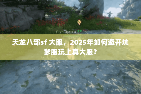 天龙八部sf 大服,2025年如何避开坑爹服玩上真大服? 天龙八部sf 大服,2025年如何避开坑爹服玩上真大服?