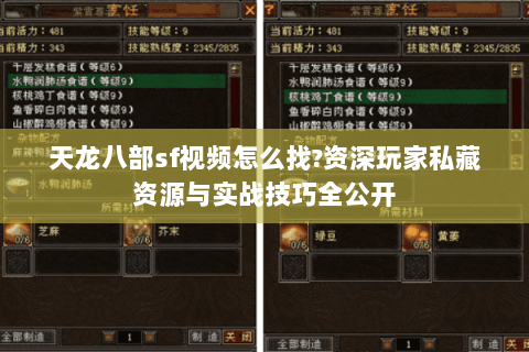 天龙八部sf视频怎么找?资深玩家私藏资源与实战技巧全公开