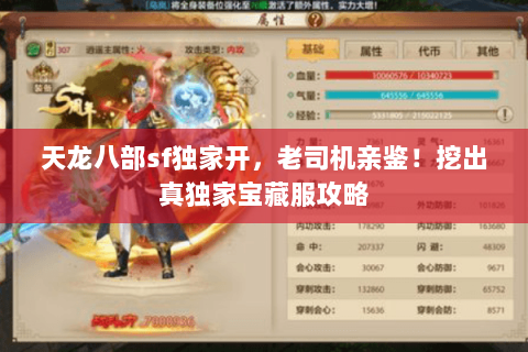 天龙八部sf独家开,老司机亲鉴!挖出真独家宝藏服攻略 天龙八部sf独家开,老司机亲鉴!挖出真独家宝藏服攻略