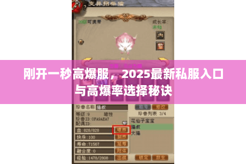 刚开一秒高爆服，2025最新私服入口与高爆率选择秘诀