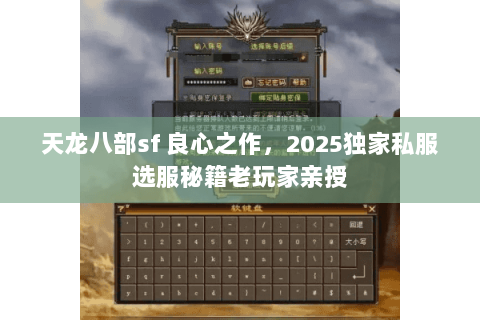 天龙八部sf 良心之作，2025独家私服选服秘籍老玩家亲授