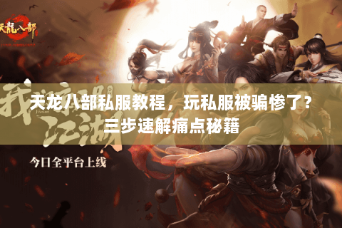 天龙八部私服教程，玩私服被骗惨了？三步速解痛点秘籍