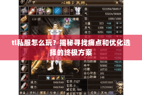 tl私服怎么玩?揭秘寻找痛点和优化选择的终极方案 tl私服怎么玩?揭秘寻找痛点和优化选择的终极方案