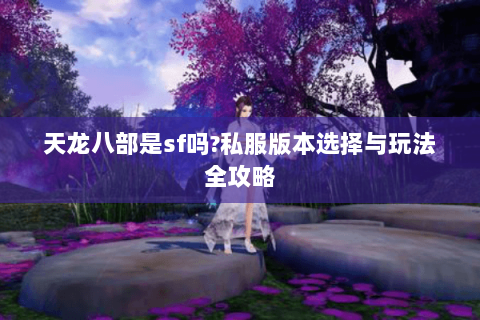 天龙八部是sf吗?私服版本选择与玩法全攻略