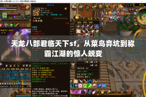 天龙八部君临天下sf,从菜鸟弃坑到称霸江湖的惊人蜕变 天龙八部君临天下sf,从菜鸟弃坑到称霸江湖的惊人蜕变