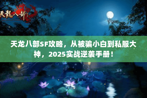 天龙八部SF攻略，从被骗小白到私服大神，2025实战逆袭手册！
