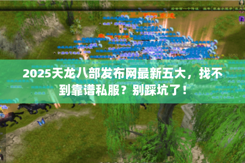 2025天龙八部发布网最新五大,找不到靠谱私服?别踩坑了! 2025天龙八部发布网最新五大,找不到靠谱私服?别踩坑了!